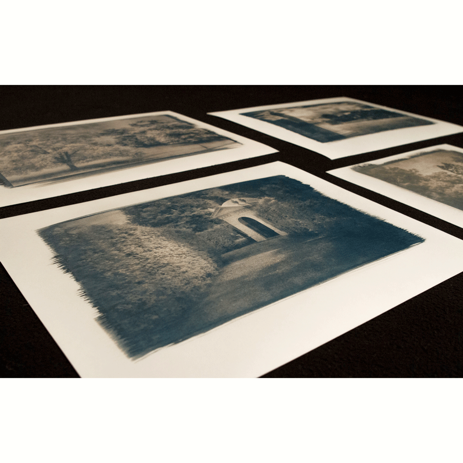 Тонер для цианотипии "коричневый" (на 5 л) Тонер для цианотипии "коричневый" (на 5 л)