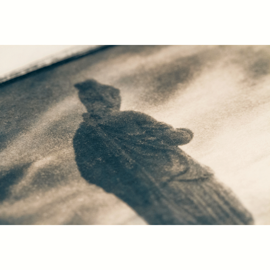 Тонер для цианотипии "коричневый" (на 5 л) Тонер для цианотипии "коричневый" (на 5 л)