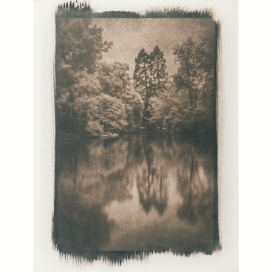 Тонер для цианотипии "коричневый" (на 5 л) Тонер для цианотипии "коричневый" (на 5 л)